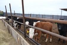 КФХ Целлер Т. П.