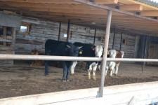 КФХ Целлер Т. П.