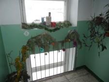 Двуреченск, Кольцевая, 11