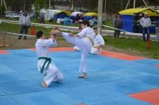 Сабантуй-2017