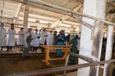 На конкурсе операторов машинного доения