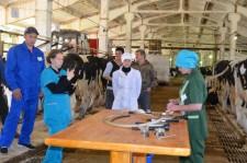 На конкурсе операторов машинного доения