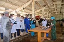 На конкурсе операторов машинного доения