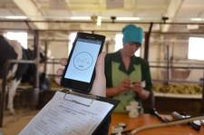 На конкурсе операторов машинного доения