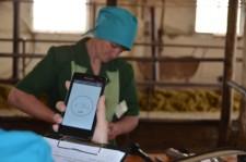 На конкурсе операторов машинного доения