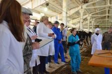 На конкурсе операторов машинного доения