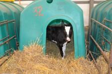 На конкурсе операторов машинного доения