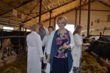 На конкурсе операторов машинного доения