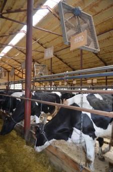 На конкурсе операторов машинного доения