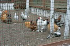 Заповедник