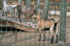 Заповедник