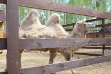 Заповедник