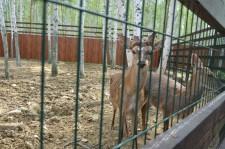 Заповедник