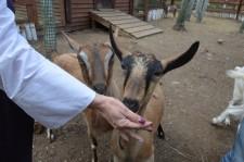 Заповедник