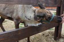 Заповедник