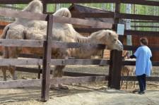 Заповедник