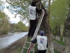 Субботник в Большом Истоке