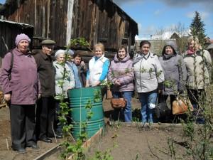 Усадьба. Обрезка деревьев