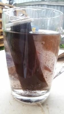 Фильтр, забитый торфом и вода