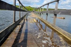 Мост на Луч