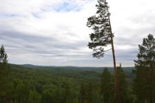 Гора Гладкая