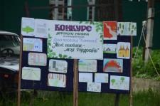 День поселка Каменка