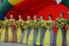 День поселка Каменка