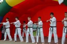 День поселка Каменка карате Кекусинкай