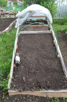 Теплая грядка для огурцов усадьба