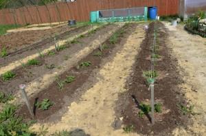 Усадьба Крушинских