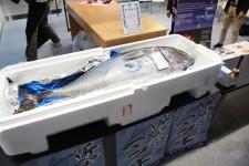 Инннопром-2017