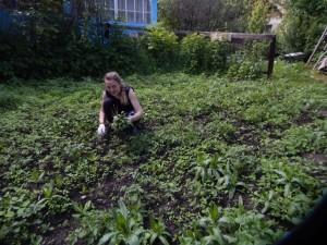 Прополка трудовой отряд ЦДТТ