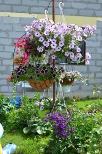 Усадьба Лебедевой. Цветы