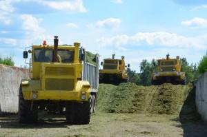 Агрофирма "Патруши", село, заготовка кормов