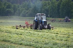 Агрофирма "Патруши", село, трактор, заготовка кормов