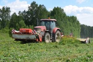 Агрофирма "Патруши", село, трактор, заготовка кормов