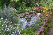 Усадьба Шушменцевых