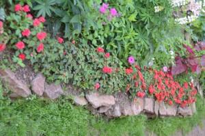 Усадьба Шушменцевых