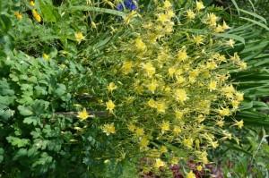 Усадьба Шушменцевых