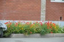 Микрорайон Комфорт