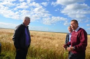 Объезд полей