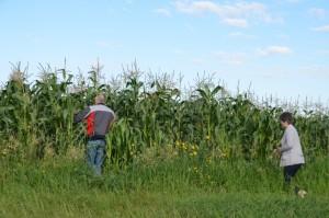Объезд полей