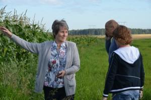 Объезд полей