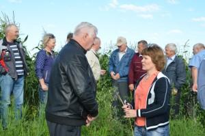 Объезд полей