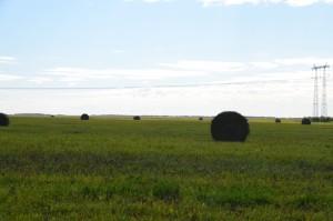 Объезд полей