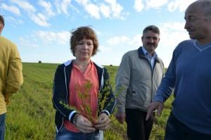 Объезд полей