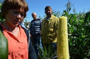 Объезд полей