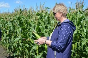 Объезд полей