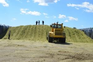 Объезд полей