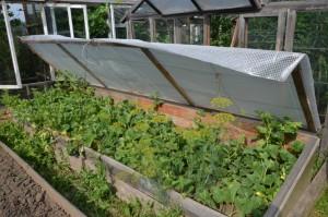 Усадьба Шариковых